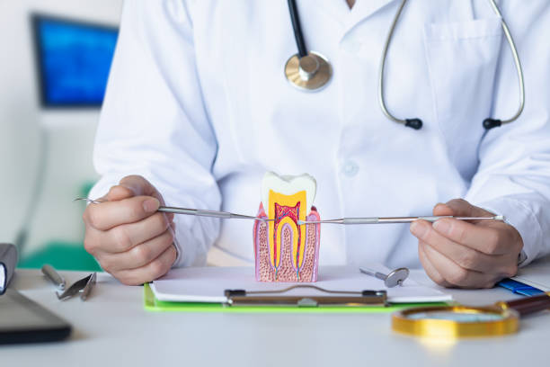 Best Dentist for Tooth Abscess  in West Newton, PA